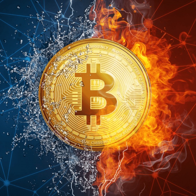 nexus market
