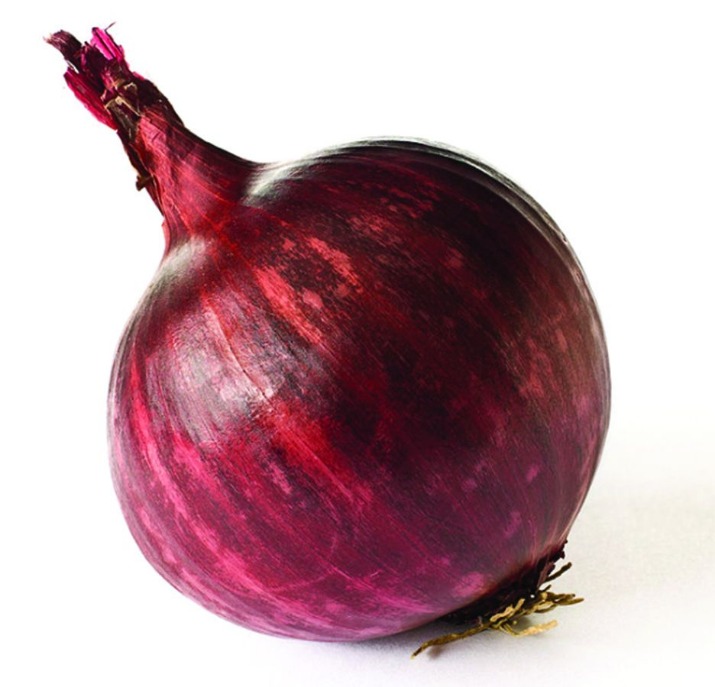 Nexus Onion