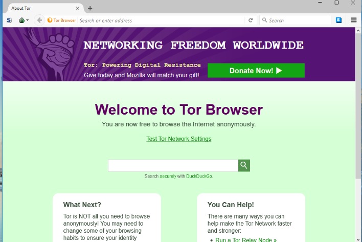 access to dark web