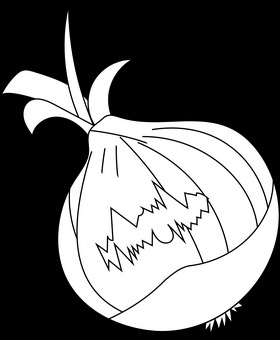 .onion links