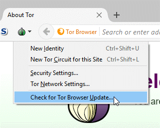 access to dark web